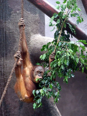 zoo_prag_1